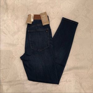 Curvy High Rise Skinny in Danny wash size 28